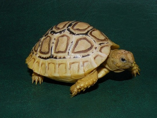 011005xxgpg2n94lgdylnl.jpg