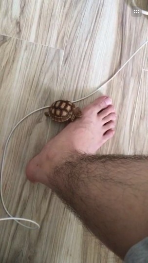 011222h0abxzf0wtkuwn39.jpg