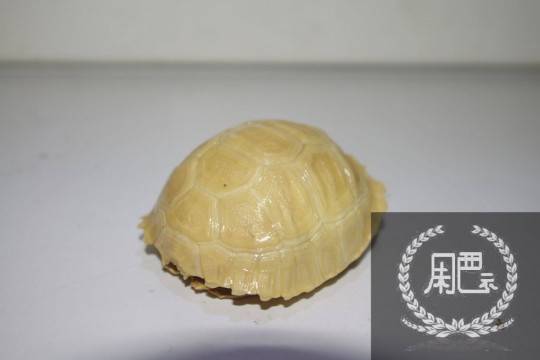 125112cu8ec5b38upwnwcb.jpg