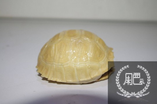 125112ecb3brgbml86r6bj.jpg
