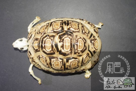 010819nen9byrk7oy98ryo.jpg