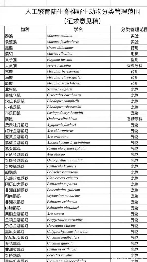 092230x9ffe09f3b13egoe.jpg
