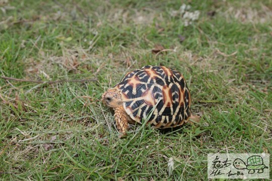 103404g8oict0aplclee88.jpg