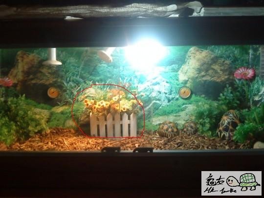 113209i6q0cjq3gcryoccr.jpg