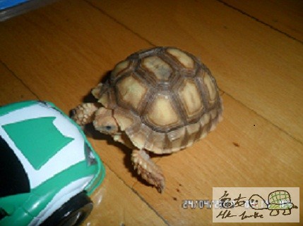 190032rsq4sqfrk4sjktdr.jpg