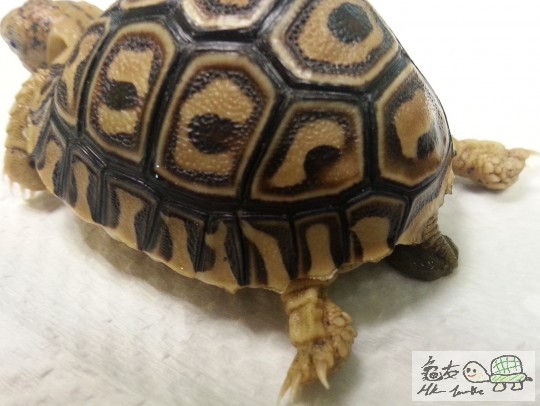 190427wexnfzxfzzlioteo.jpg