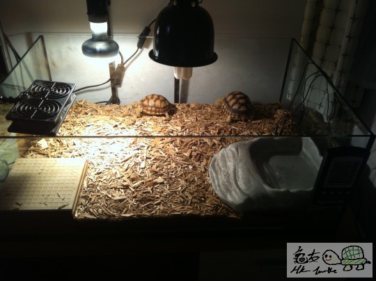190550lvcn53dr511z7j5p.jpg