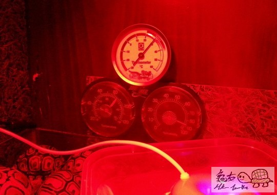 191017je4gwnyiooley33n.jpg