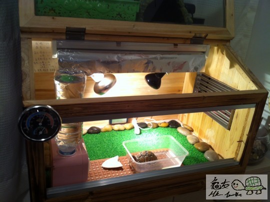 220123aeofspmseosn88yn.jpg