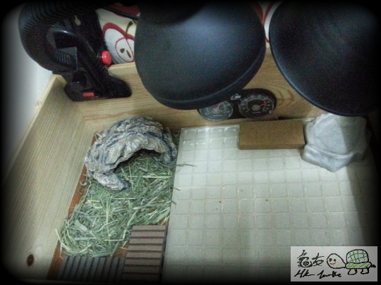 230837b7rmsx5mx4x1x7se.jpg