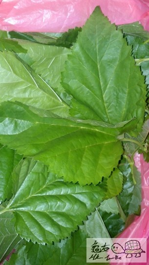 230854m921nchcrl1cb3n7.jpg