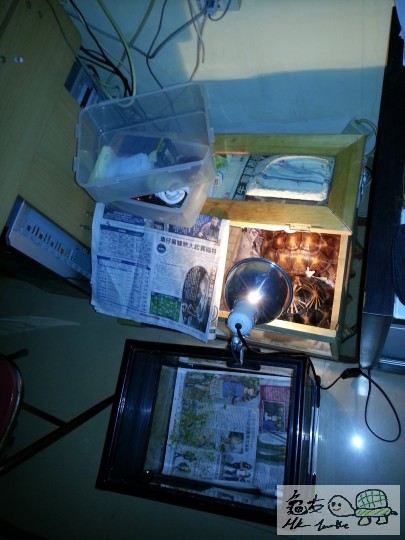 231537crpg07y5lbqgom7q.jpg