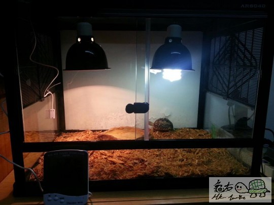001414k93coc8hs9vru8mr.jpg