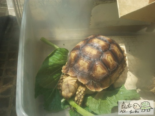 003655s1bryipl5olg9y9p.jpg