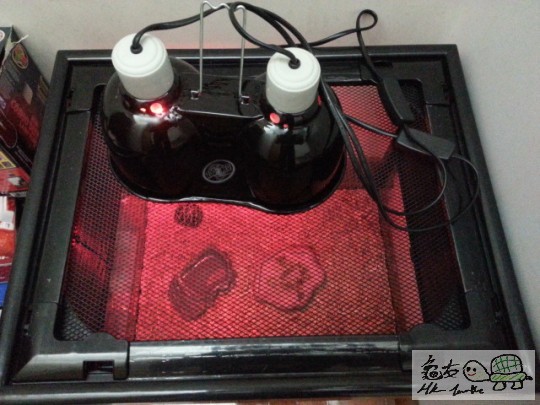 003702lsxazc1b61c6vqkb.jpg