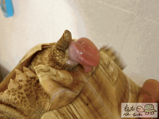 003725cas10o01oe07ww7w.gif