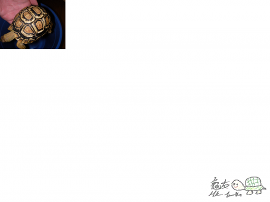 004028j7yribr1xmbrorty.jpg