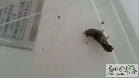 004127ergai4bgjbzstx1s.jpg