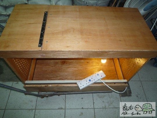 004635zd74bb2dai574wfh.jpg