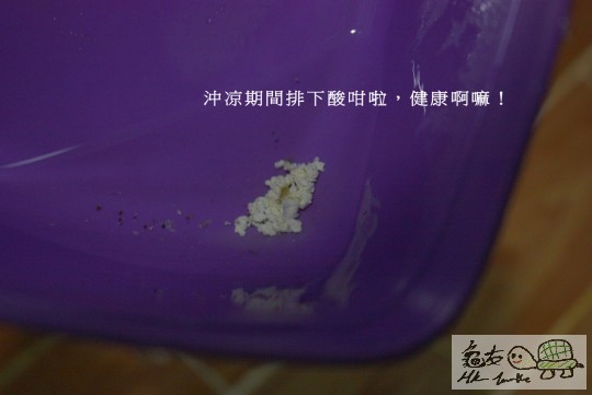 004649zuzt19w22o399bb2.jpg