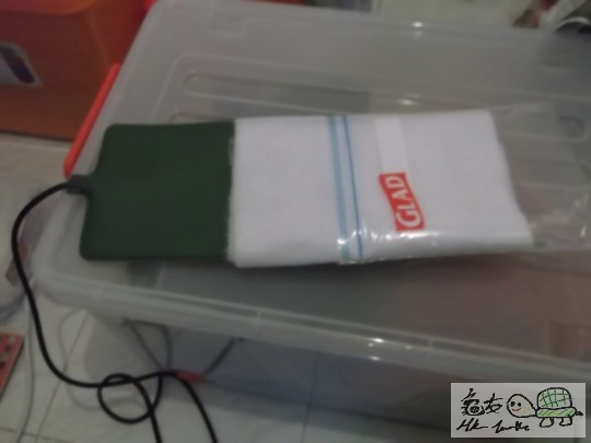 104710do2t3wt2cg0ttwgz.jpg