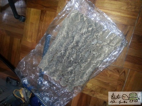 110447ckjd8xxbb82kizhj.jpg