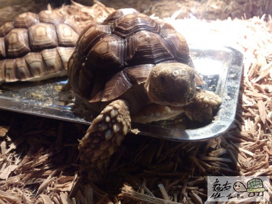 120110kkgg3784ab7q8kic.jpg