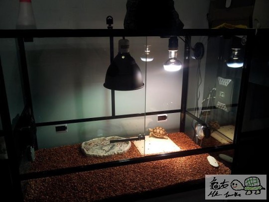120114i2d3mq725enfws11.jpg