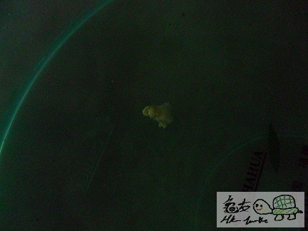 120828oh4h2l1wuqoc89wc.jpg
