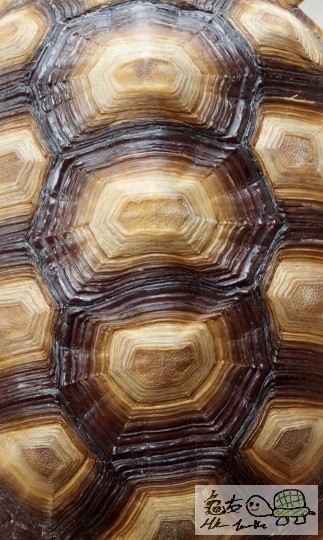 120911x276rkrm9ls2uule.jpg