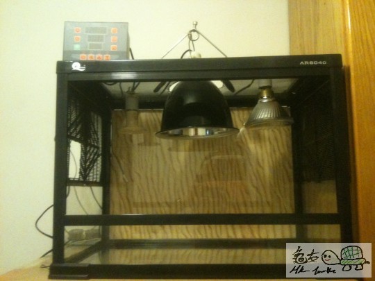 122252wkiorermkzj116jo.jpg