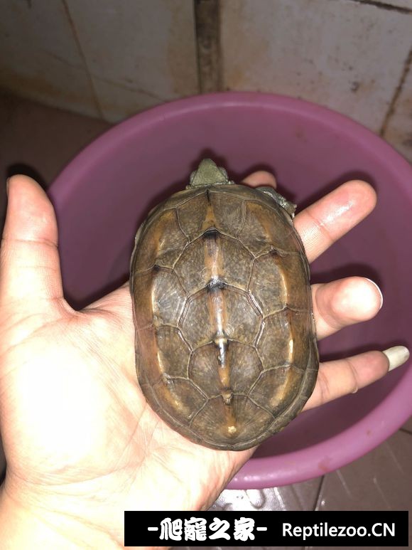 005005oekbv7g7bf8zoo0b.jpg
