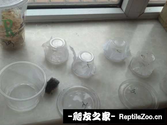 110129qtw0mkjk080ezwky.jpg