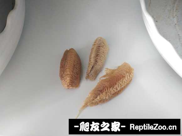 172011bzs76b647wbqf11d.jpg