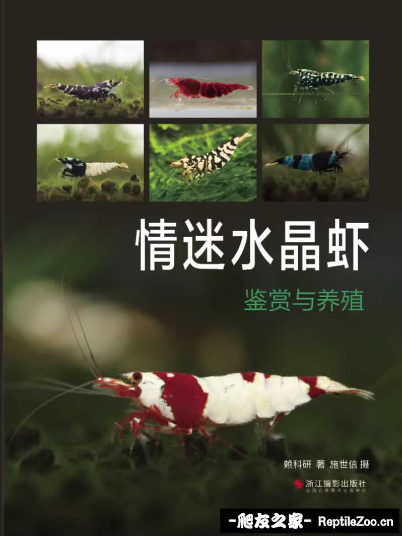 090507p3v88qkw3qgppwq9.jpeg