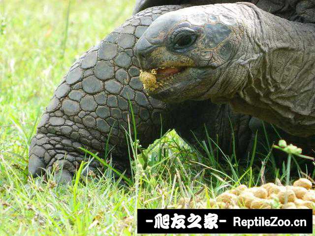336ade14cf9741a5bc3c99a691c6aef6~noop.image?_iz=58558&from=article.jpg