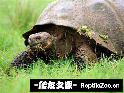 be8d62eabda64144a9c732bfdf18f3f4~noop.image?_iz=58558&from=article.jpg