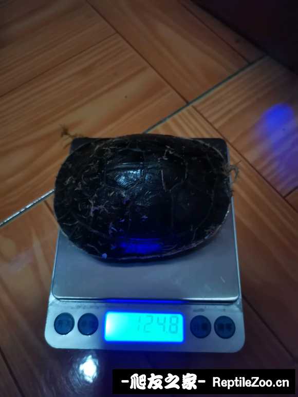 134444d8hkdd5ordfmfp9o.jpg