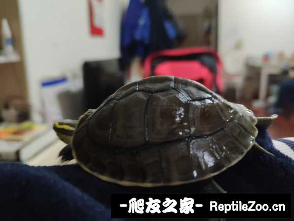 134536jzpf97h0h6eyf0y0.jpg
