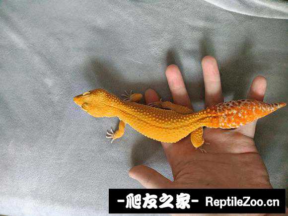 134728cg5zorr9ok5s4rvz.jpg