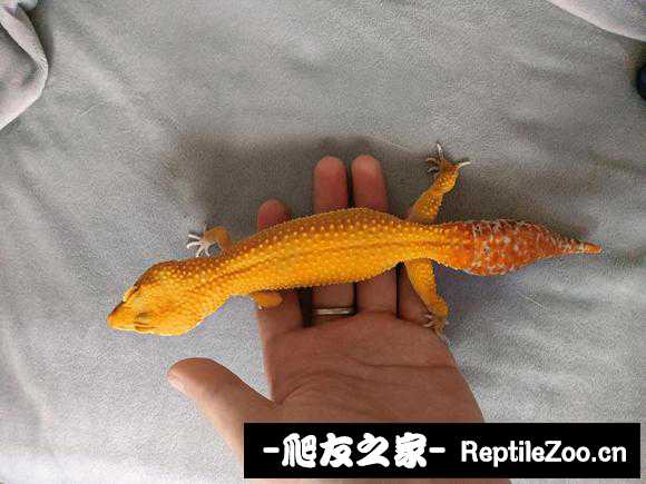 134732w7m73weszsepe9mf.jpg