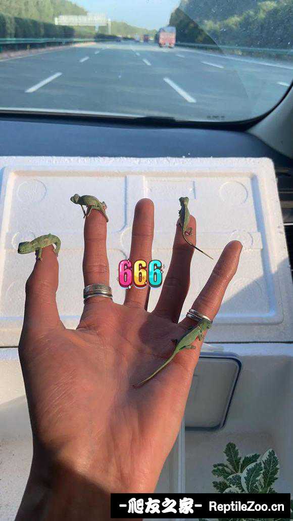 134939cgxos1o9xm6oo22o.jpg