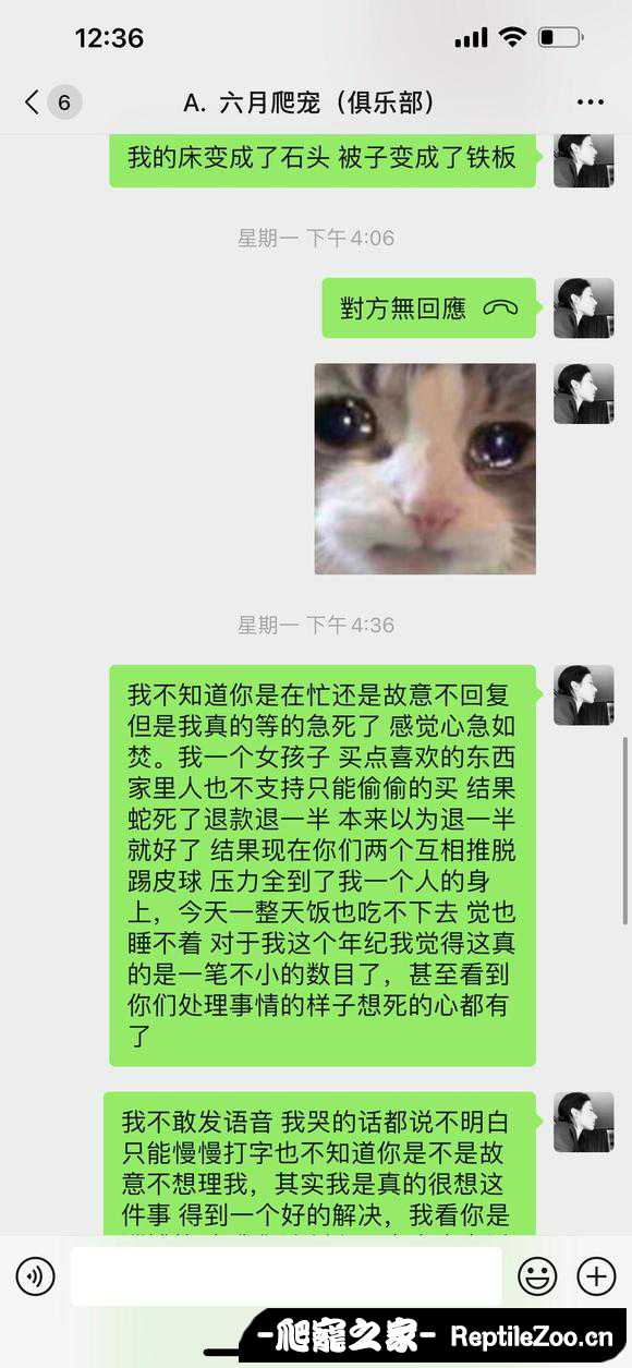 141705tiwlzzrmjwxmyrju.jpg