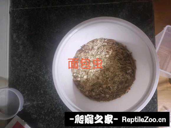 221528mghe86f8gb80wy9h.jpg