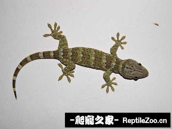 022507qzp65ieguix0h1xi.jpg