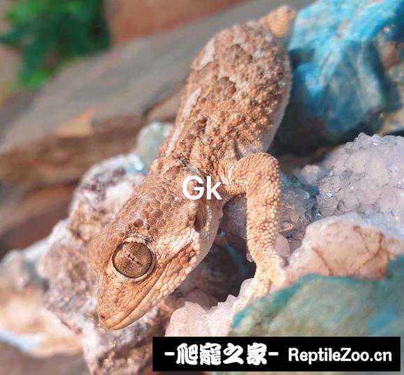 022551yat4xdz333475w3y.jpg