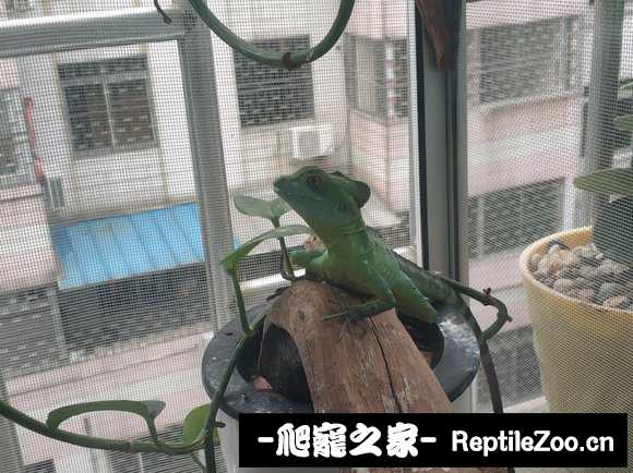 022633ywiw4e4rkzmvgz6z.jpg