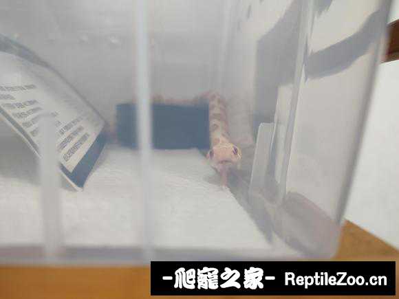 112012t3zipjddzcdcdpd3.jpg