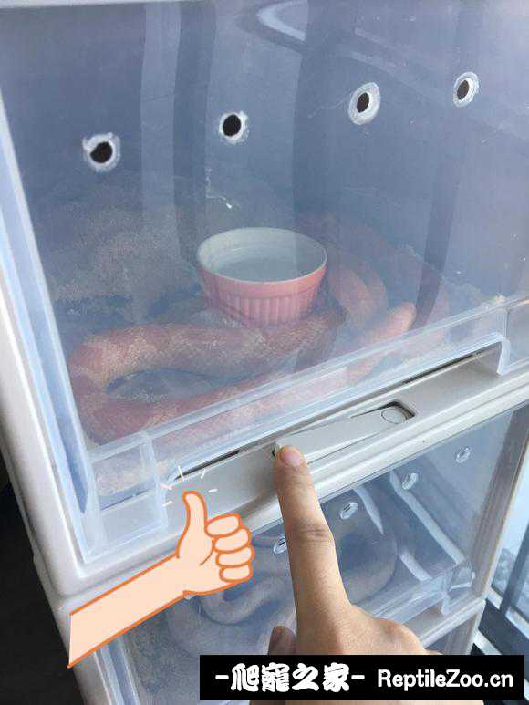 135511dvndlwvrxnwyvllg.jpg