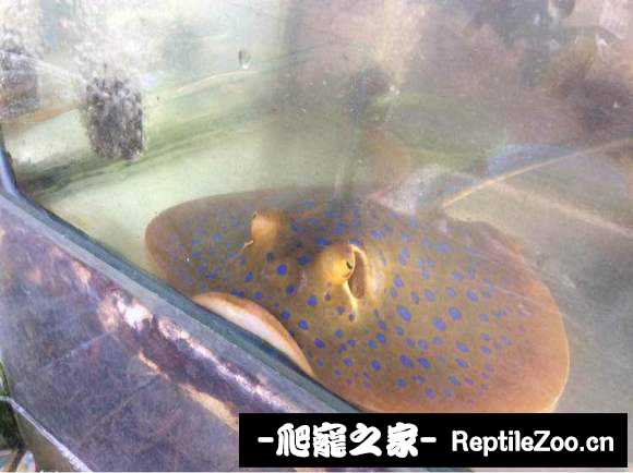 145034hl6brory1rgzgffg.jpg